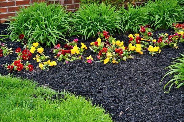 Apartment Mulching in Richland